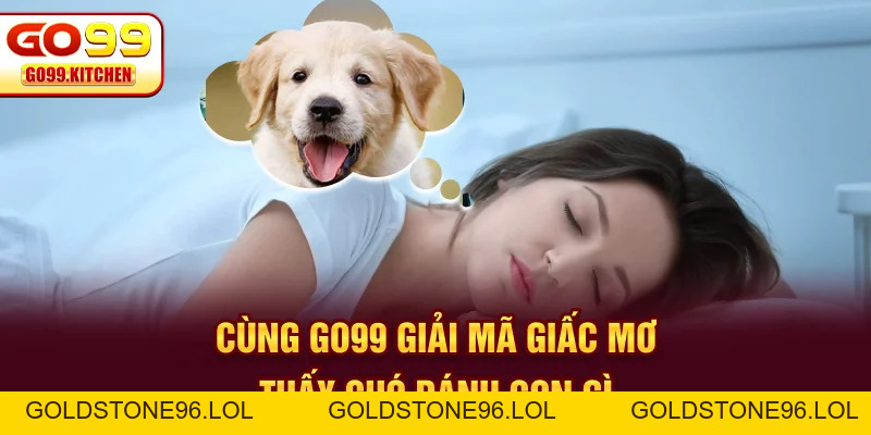 Mơ Thấy Chó Đánh Con Gì - Xem Ngay Giải Mã Mang Lộc Bất Ngờ - goldstone96