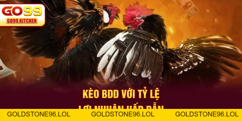 Đá Gà GO99 - Trực Tiếp Full HD Từ Các Trường Gà Hot - goldstone96