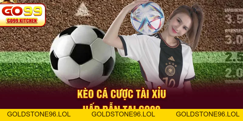 Thể Thao GO99 - Sân Chơi Cung Cấp Đa Dạng Kèo Cược Hấp Dẫn - goldstone96