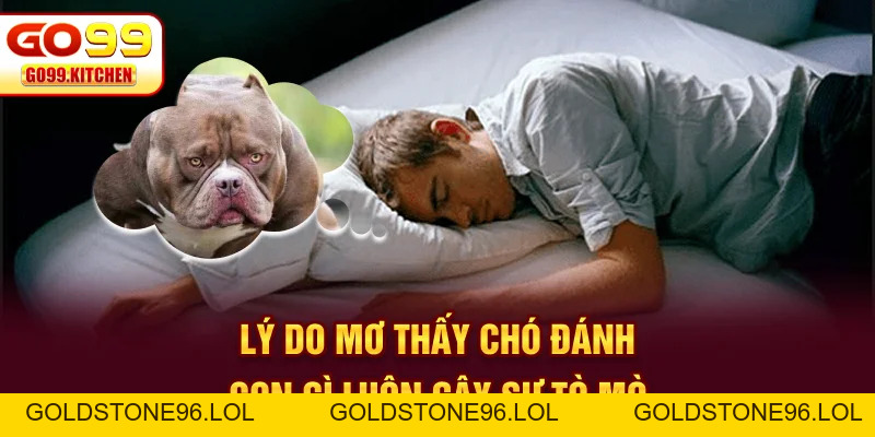 Mơ Thấy Chó Đánh Con Gì - Xem Ngay Giải Mã Mang Lộc Bất Ngờ - goldstone96