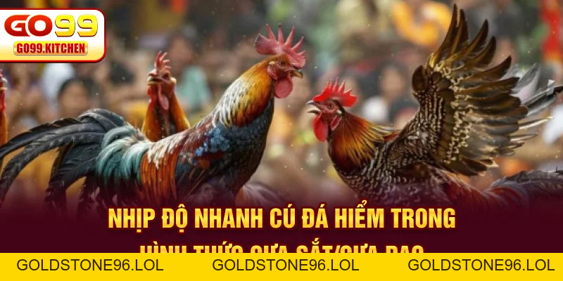 Đá Gà GO99 - Trực Tiếp Full HD Từ Các Trường Gà Hot - goldstone96