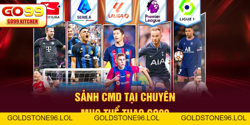 Thể Thao GO99 - Sân Chơi Cung Cấp Đa Dạng Kèo Cược Hấp Dẫn - goldstone96