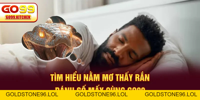 Nằm Mơ Thấy Rắn Đánh Số Mấy - GO99 Cung Cấp Số Đẹp Dễ Trúng - goldstone96