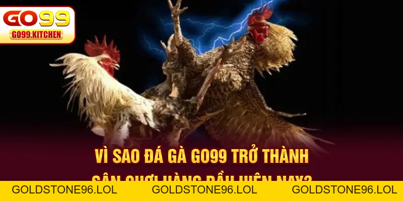 Đá Gà GO99 - Trực Tiếp Full HD Từ Các Trường Gà Hot - goldstone96